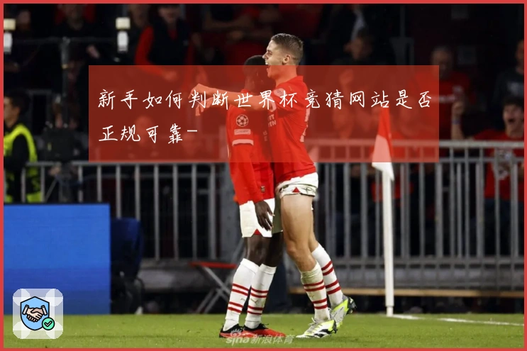 新手如何判断世界杯竞猜网站是否正规可靠-