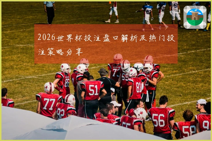 2026世界杯投注盘口解析及热门投注策略分享