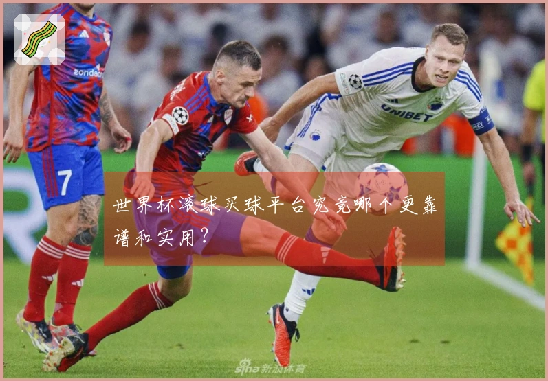 世界杯滚球买球平台究竟哪个更靠谱和实用？