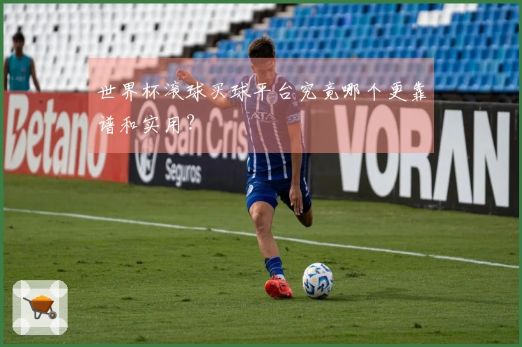 世界杯滚球买球平台究竟哪个更靠谱和实用？