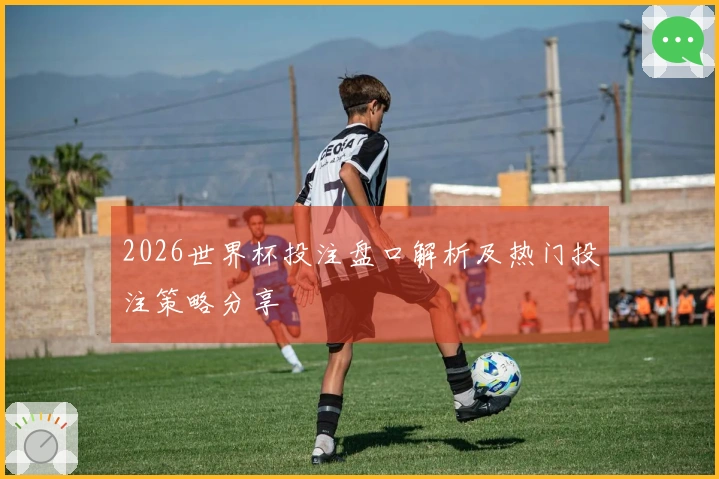 2026世界杯投注盘口解析及热门投注策略分享