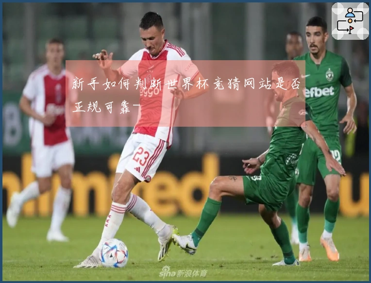 新手如何判断世界杯竞猜网站是否正规可靠-