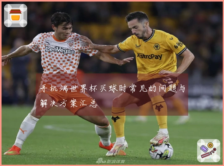 手机端世界杯买球时常见的问题与解决方案汇总